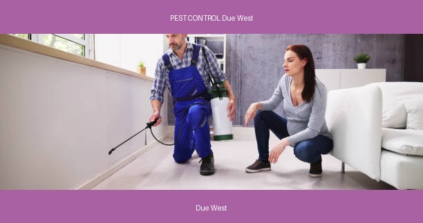 PEST CONTROL Due West